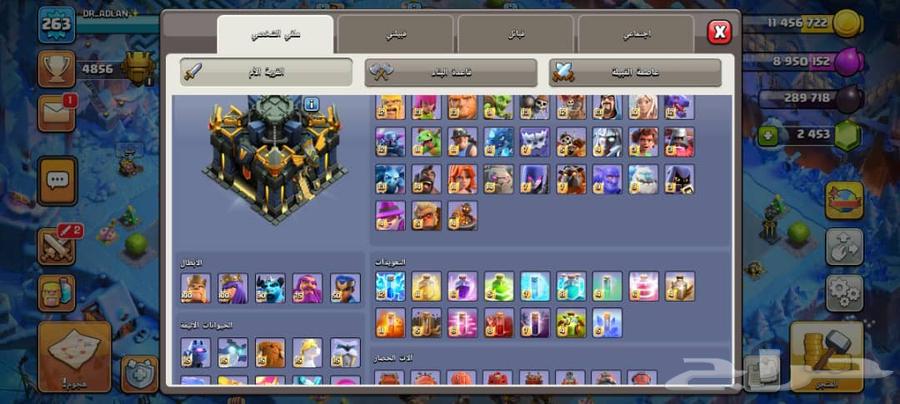 Town 17 Max64400591214849111