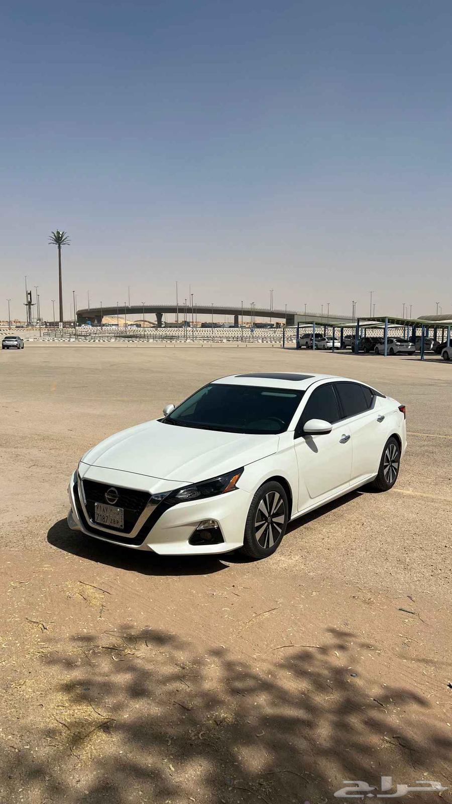 التيما SV نص فل 202264545260077954114