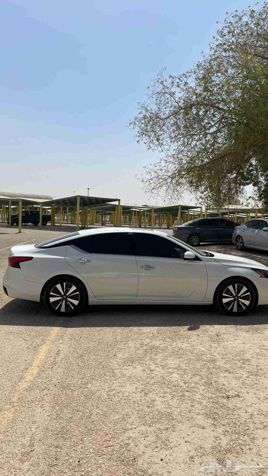 التيما SV نص فل 202264545260077954112