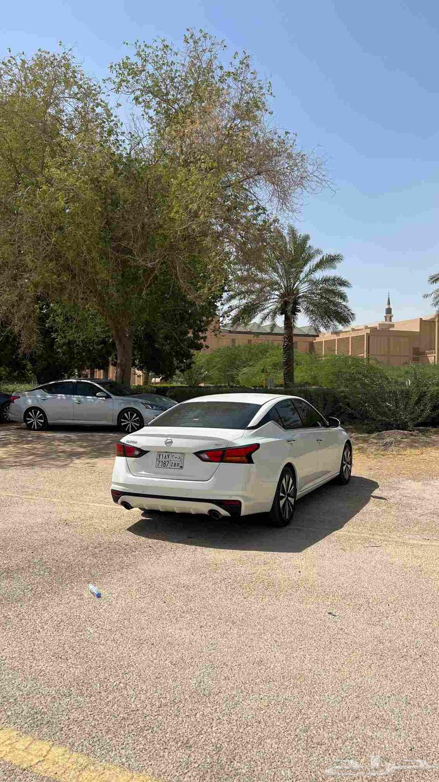 التيما SV نص فل 202264545260077954111