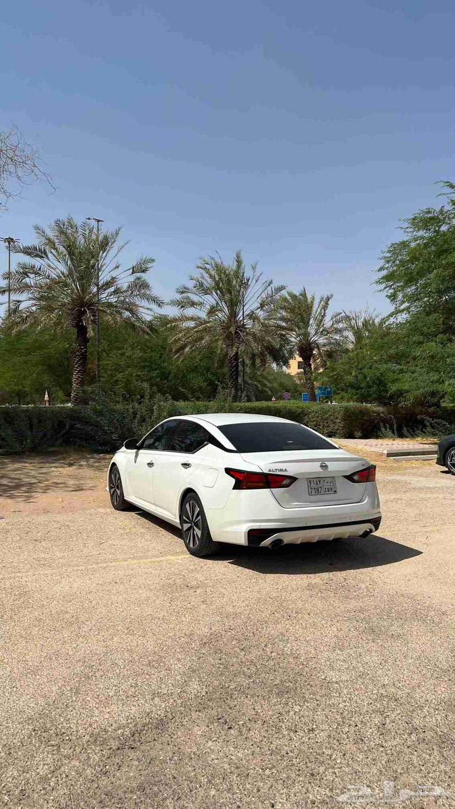 التيما SV نص فل 202264545260077954110