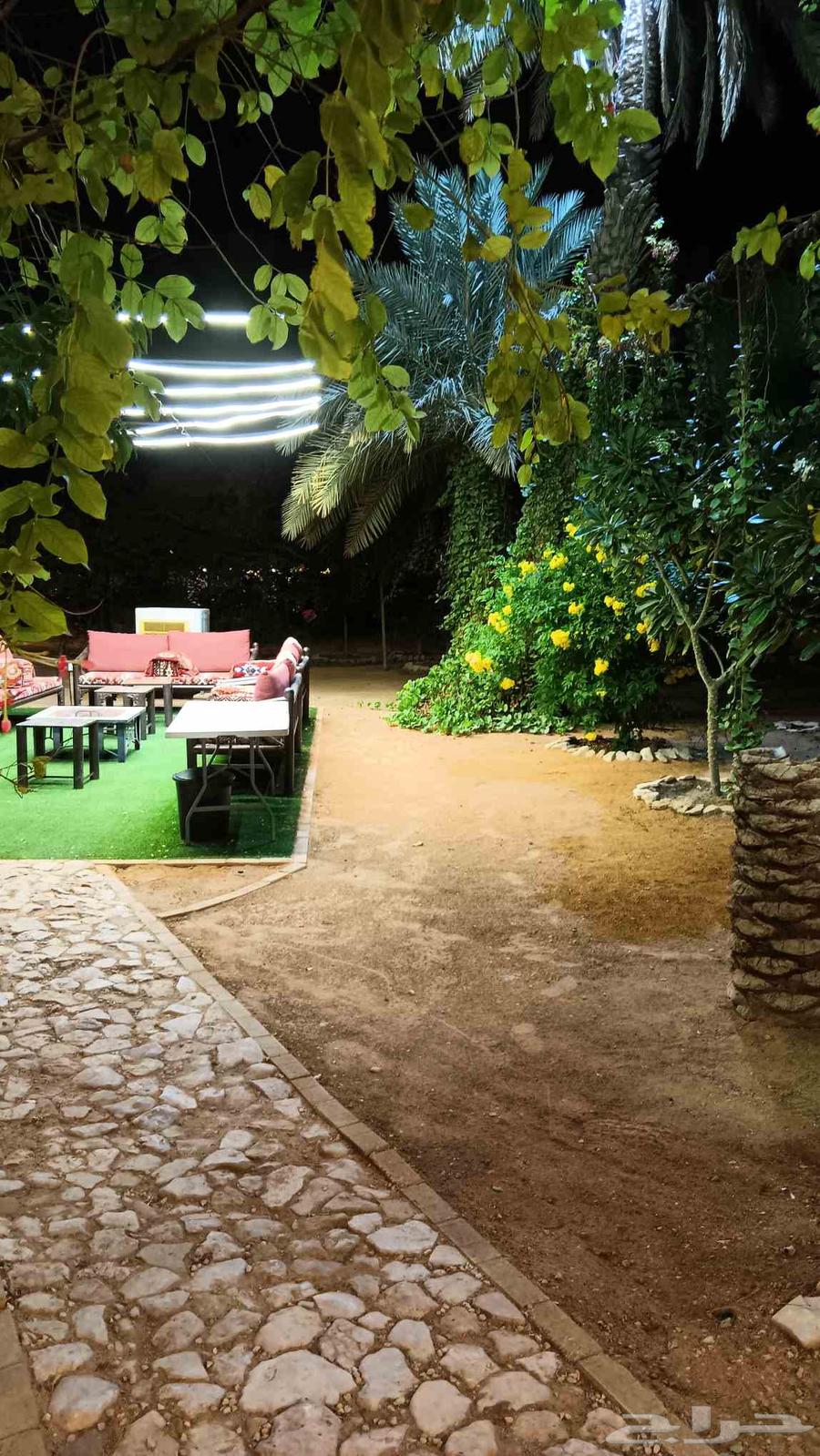 مزرعة في ملهم شمال الرياض للايجار اليومي64397658985858112