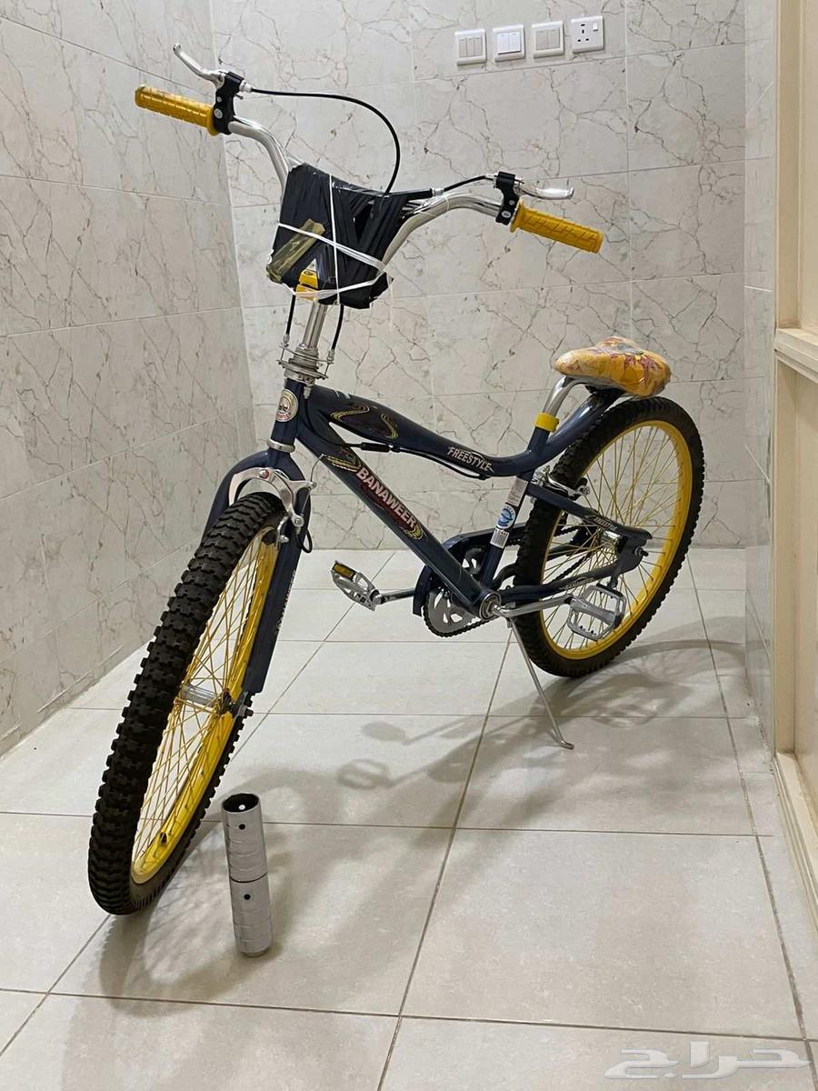 سيكل جديد كوبرا مقاس 24 السعر 40064397797300483110