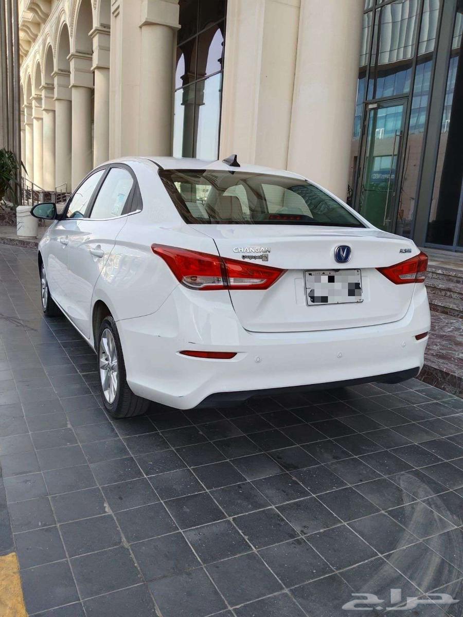 شانجان السفن 2025 فل كامل64552263548674112