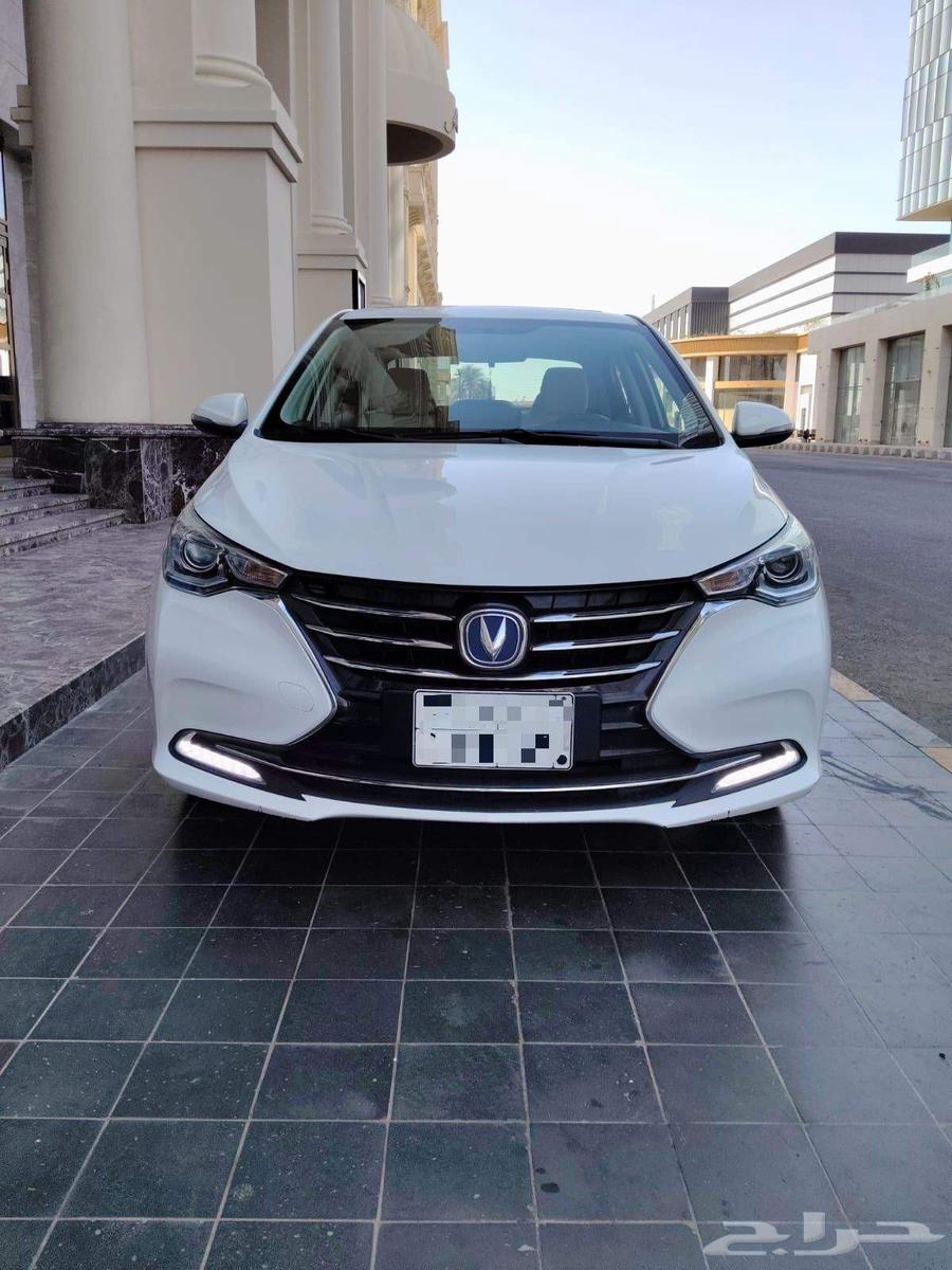 شانجان السفن 2025 فل كامل64552263548674111