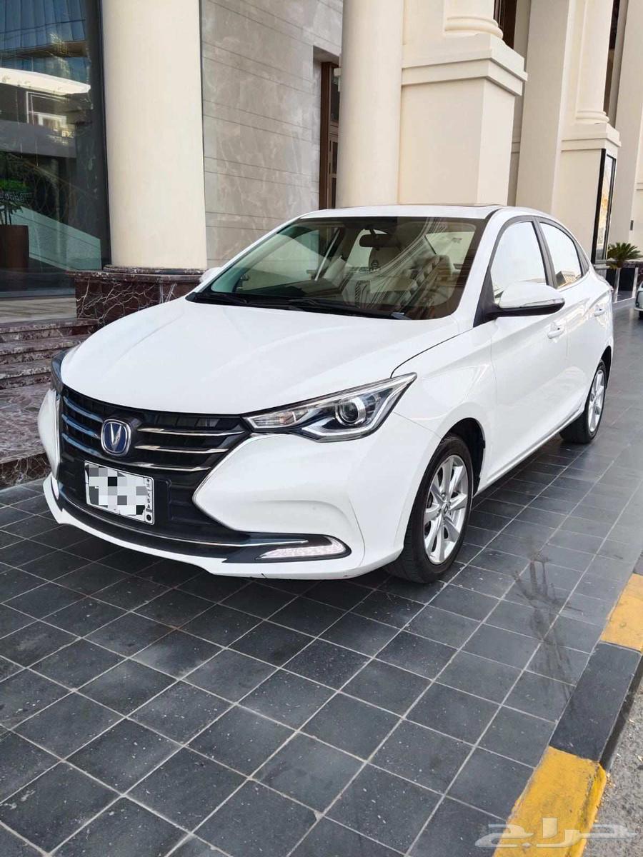 شانجان السفن 2025 فل كامل64552263548674110