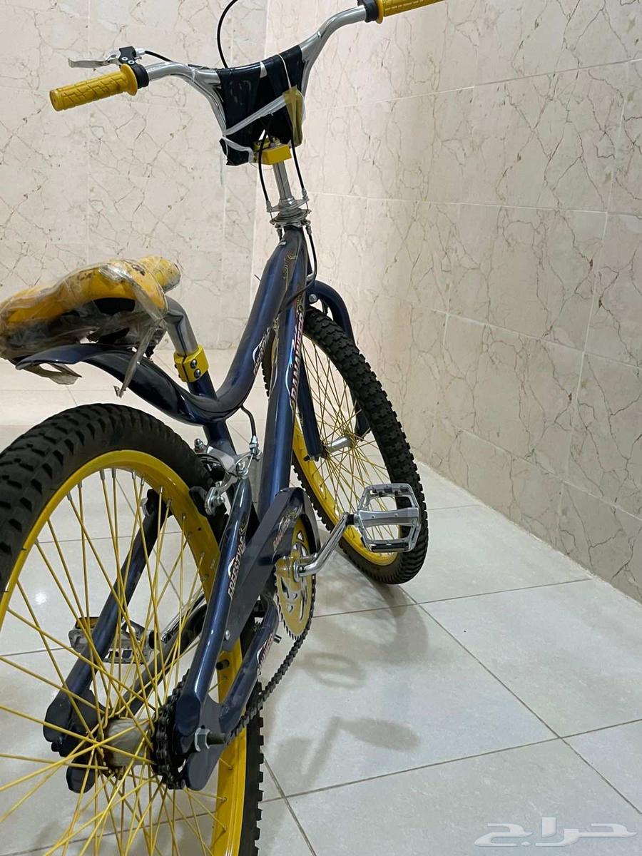 سيكل جديد كوبرا مقاس 24 السعر 40064397797300483111
