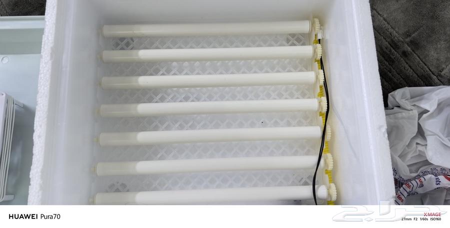 Incubator64398465257091112