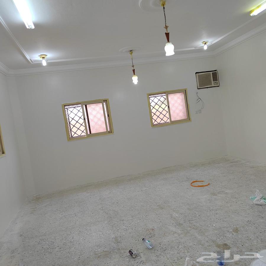 Painting Teacher63617811581570112