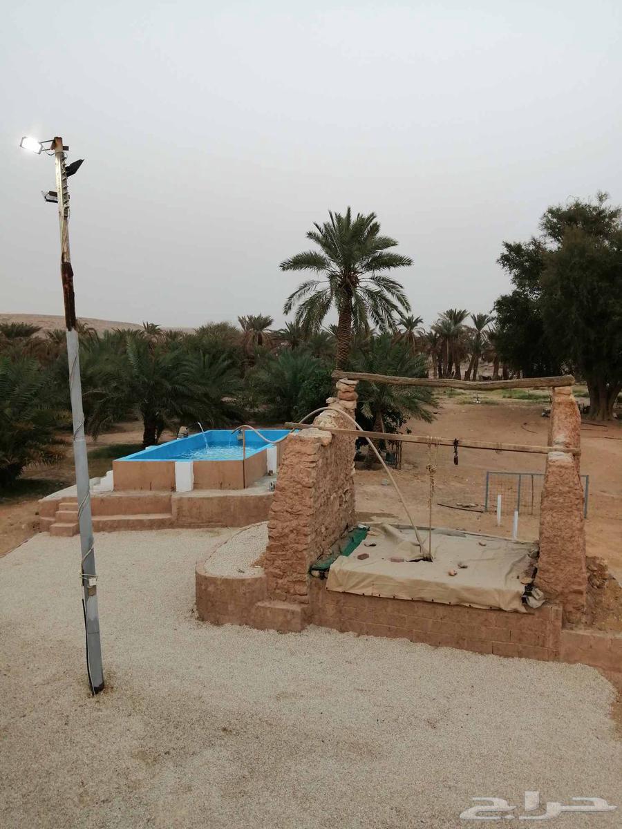 مزرعة في ملهم شمال الرياض للايجار اليومي64397658985858114
