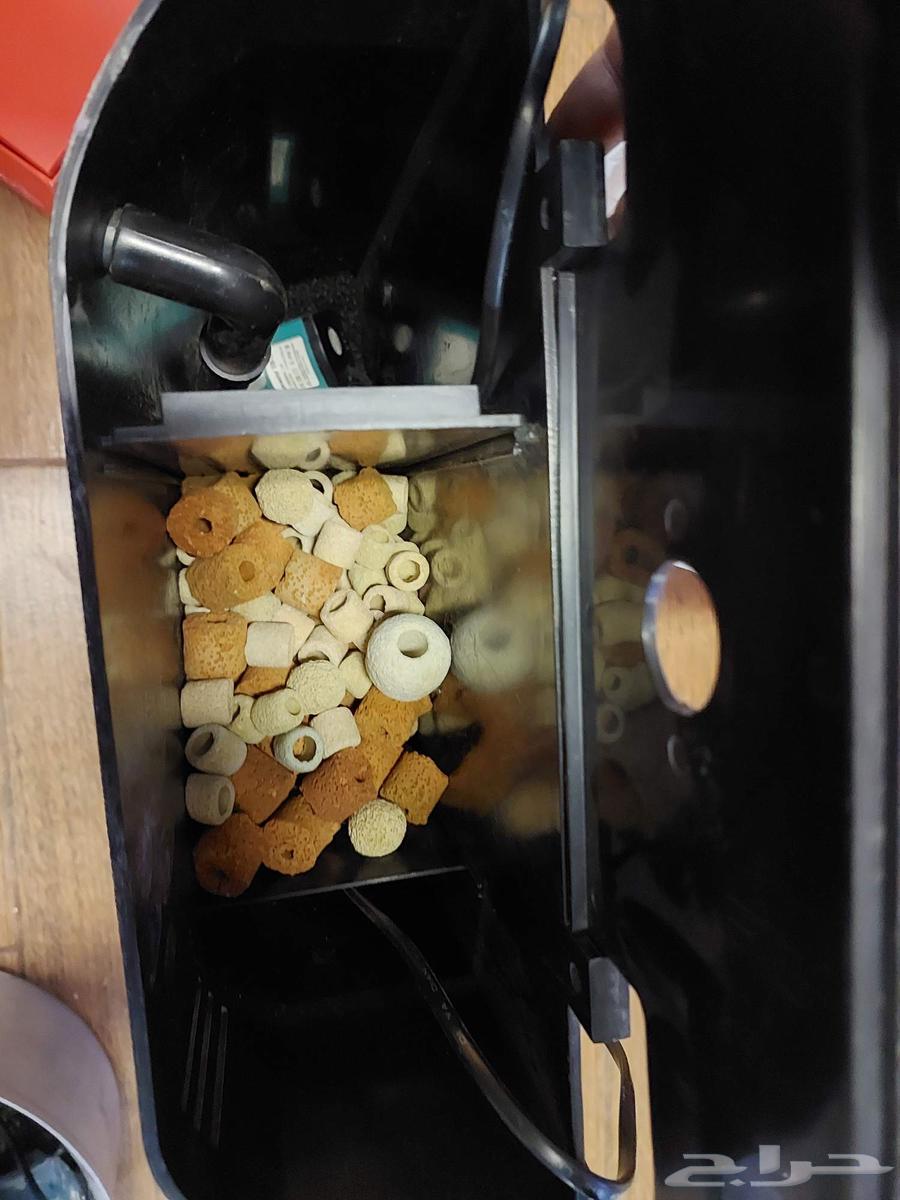 Sump Filter for Fish Tanks64395310489475111