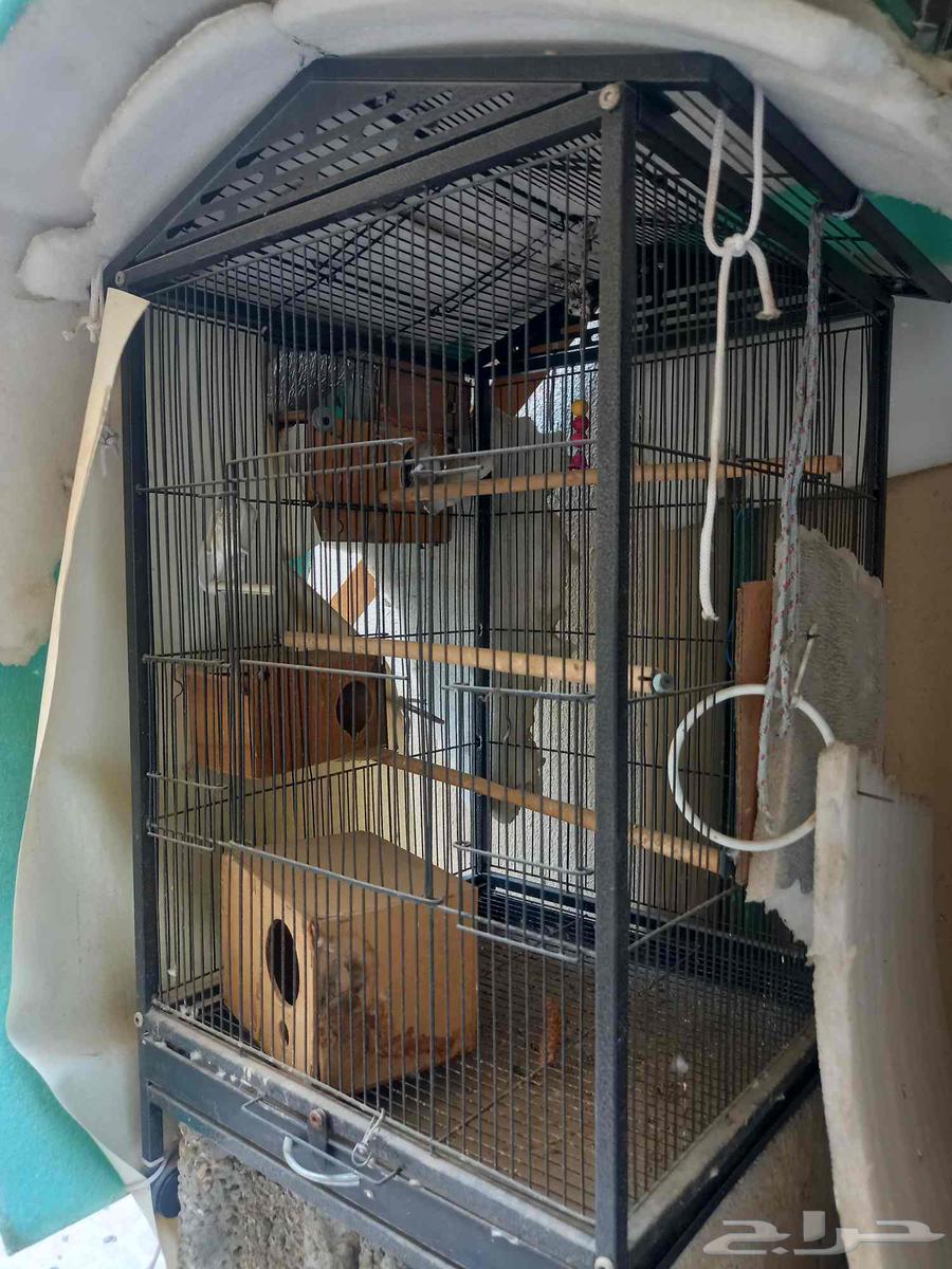 للبيع اقفاص64395741513089110