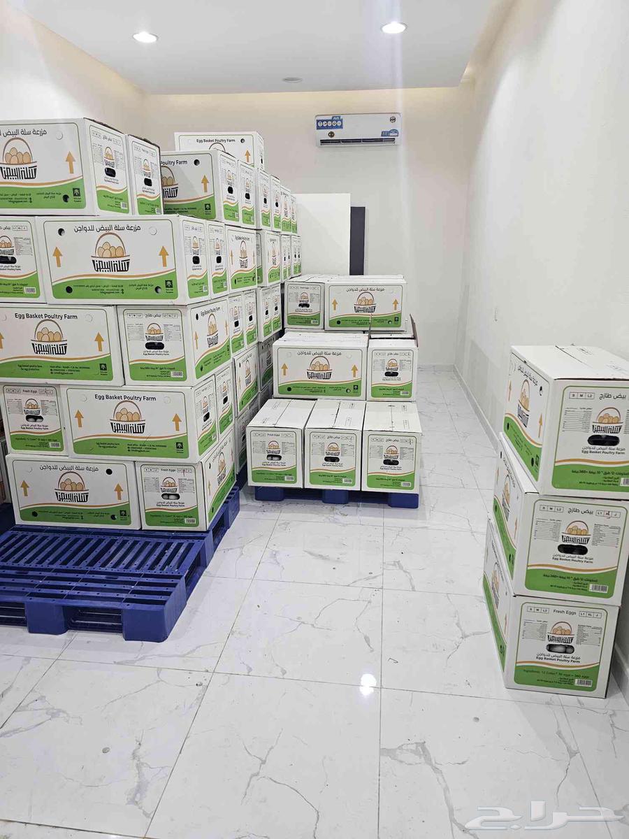 بيض للبيع بالجمله فقط64400466882049112