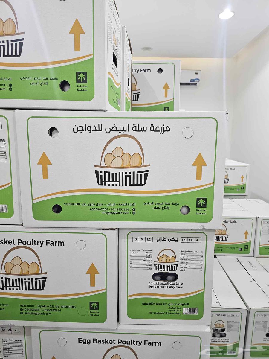 بيض للبيع بالجمله فقط64400466882049114