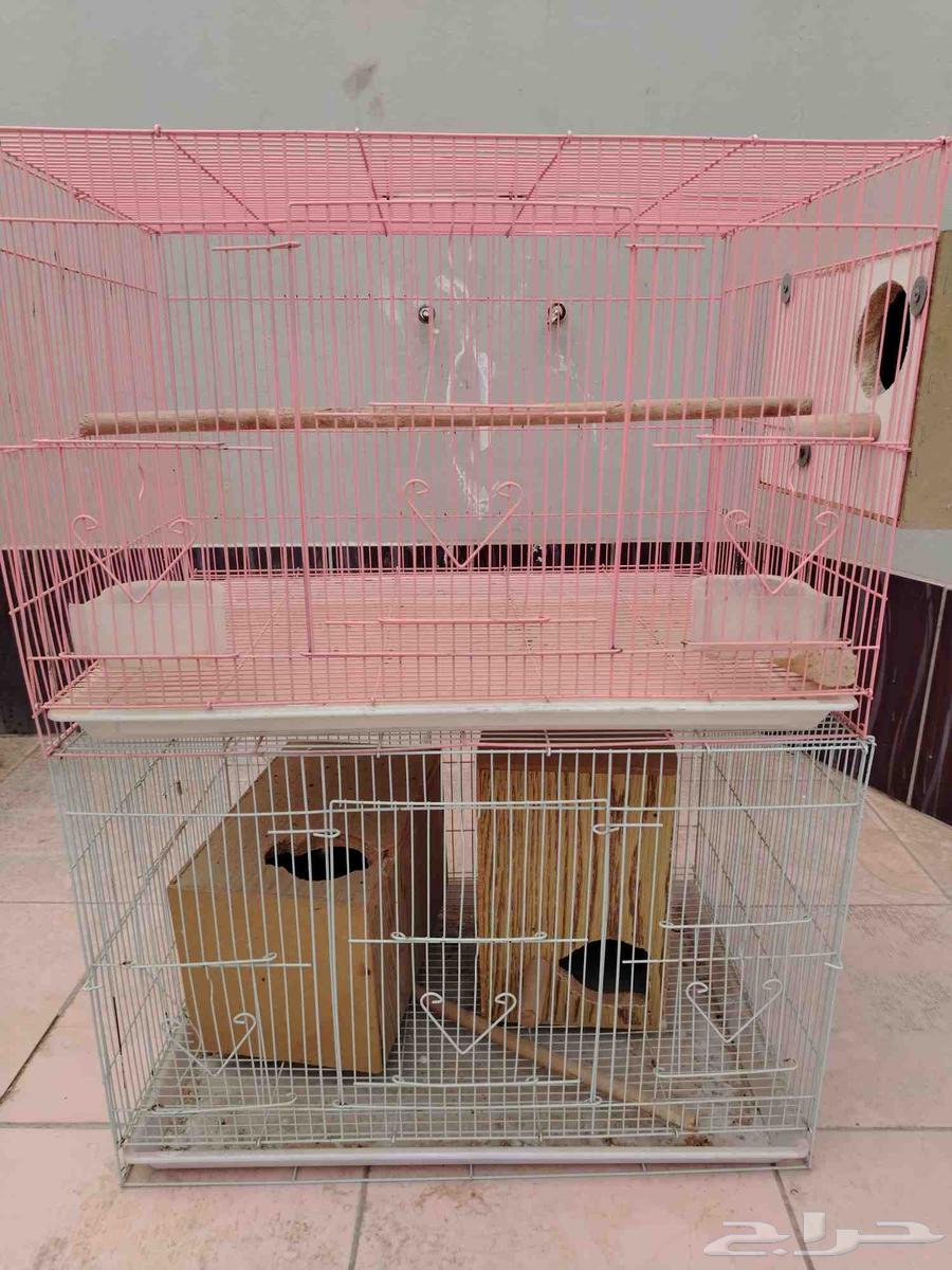 قفصين 60164394717655297111