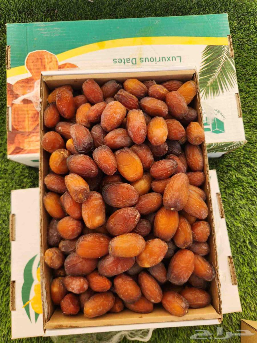 تمر مجدول فاخر64396157531139110