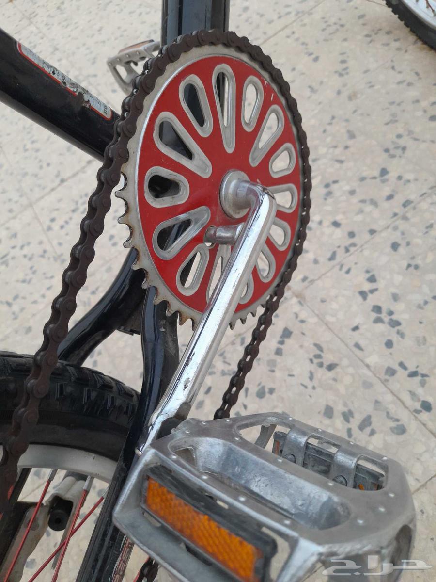 سيكل كوبرا جديد اصلي مقاس 2064400758090882113