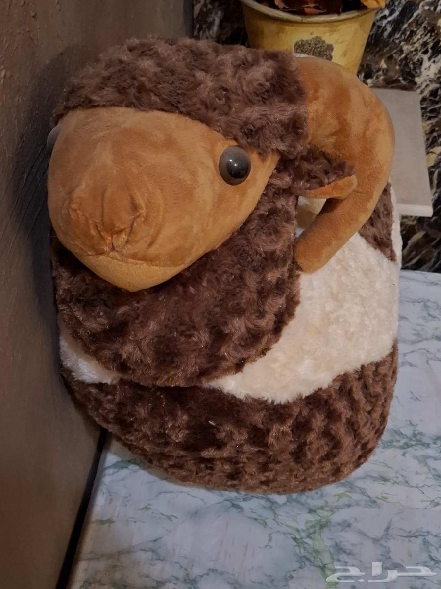 دميه خروف لم تستخدم ابدا السعر 100 ريال السعر قابل للتفاوض64394234839299110