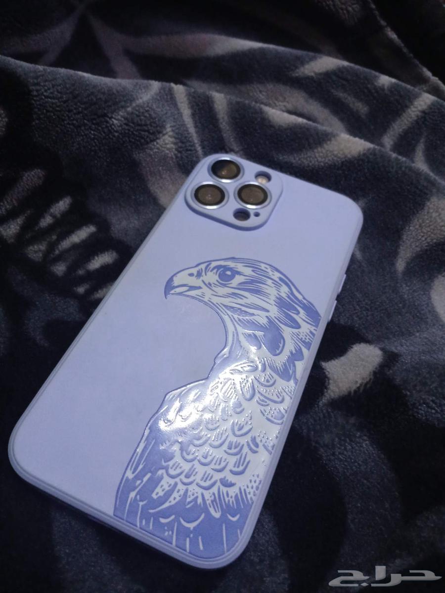 iPhone 13 Pro Max 256 GB Snapchat is blocked only 79 batter64398172686723112