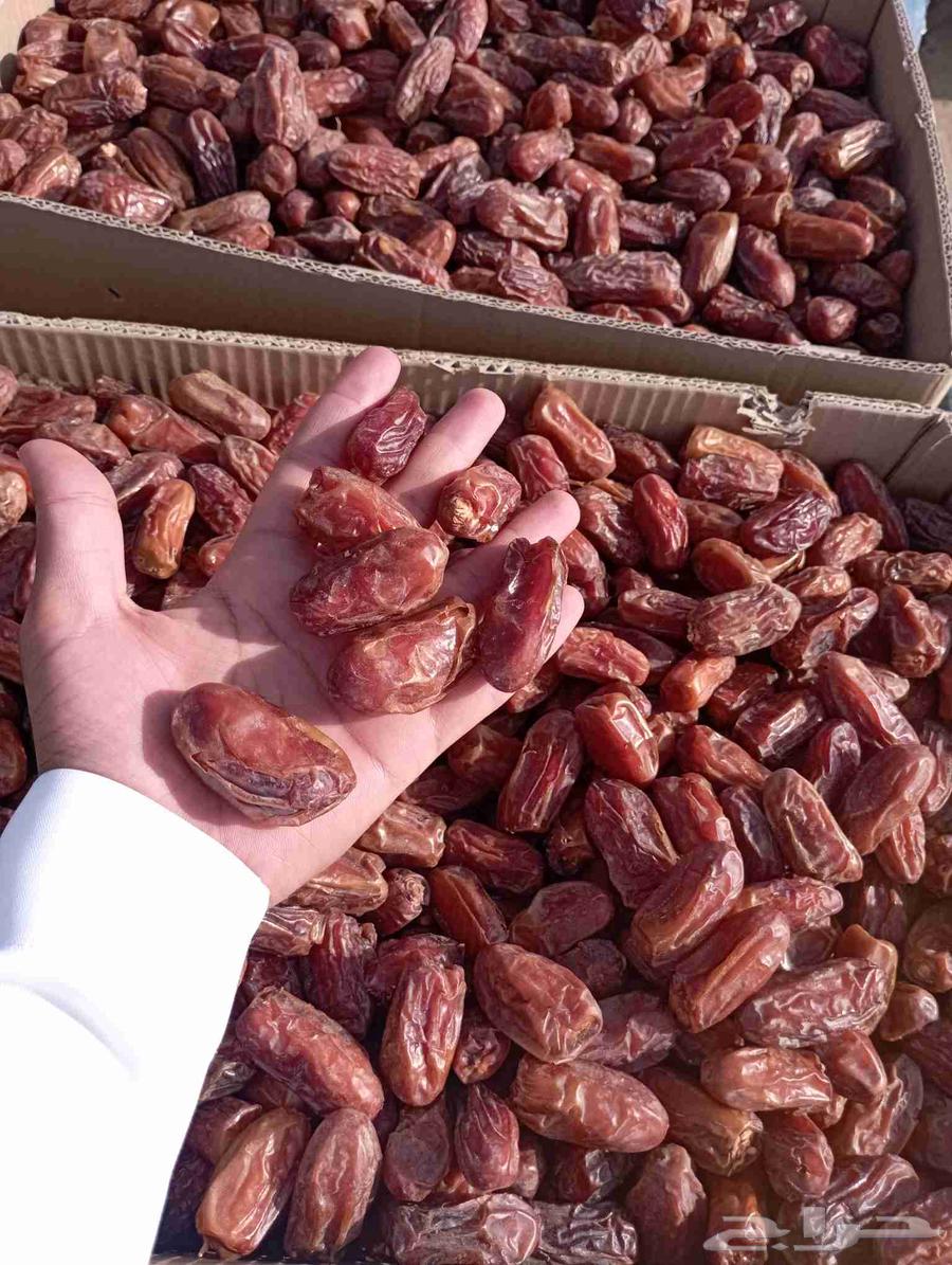 للبيع صفري صافي حبه كفو64400023400834110