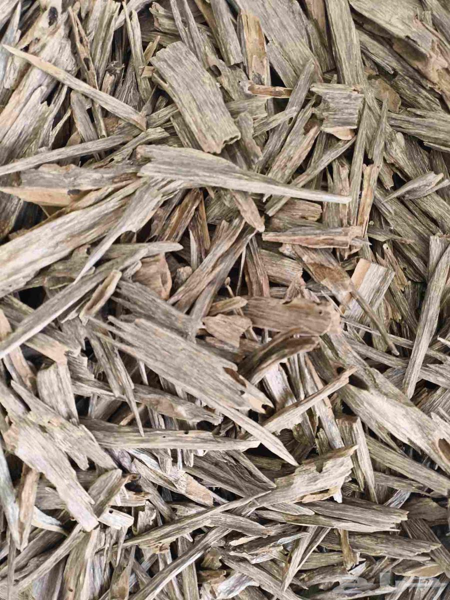 عود هندي طبيعي64400023368451110