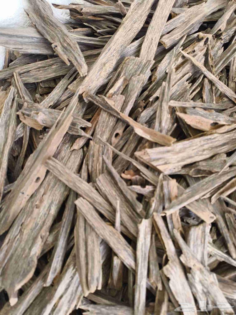 عود هندي طبيعي64400023368451111