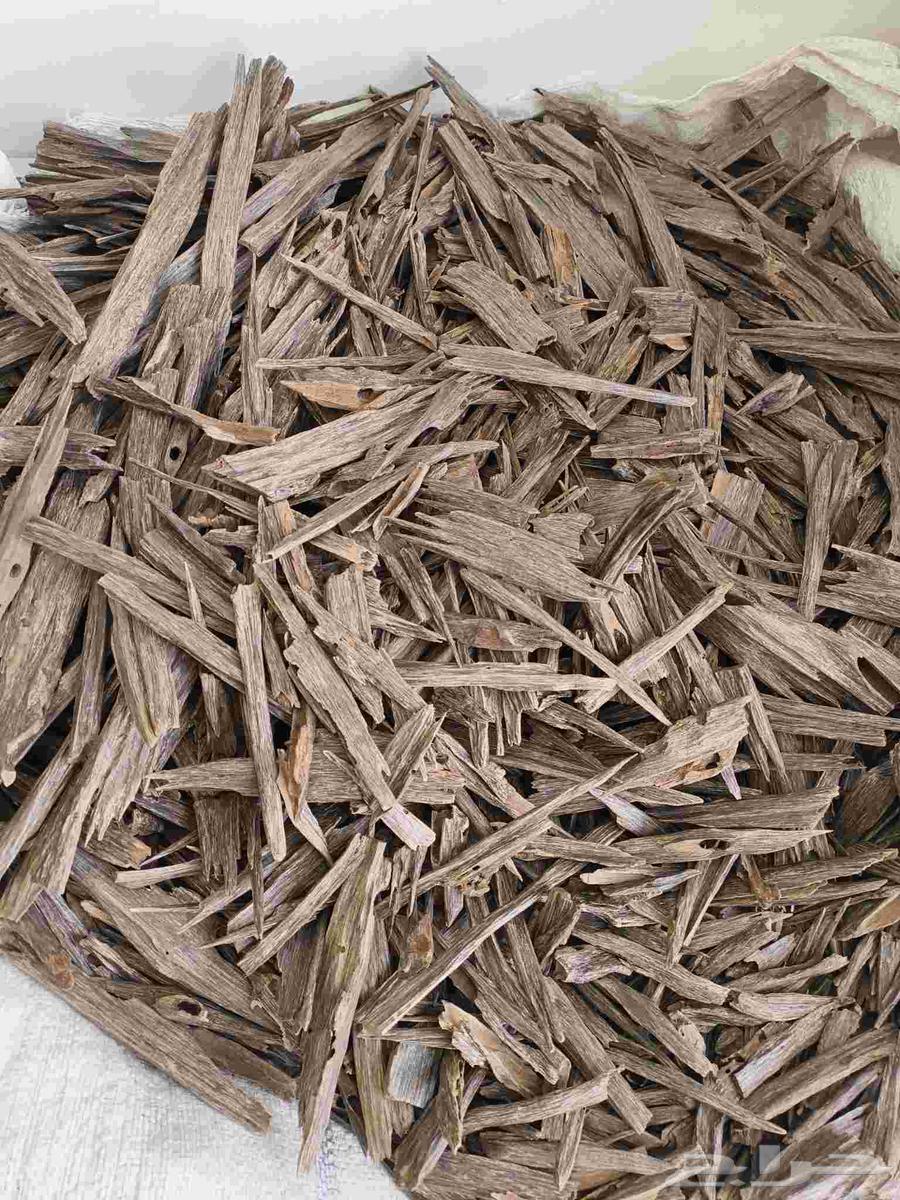 عود هندي طبيعي64400023368451112