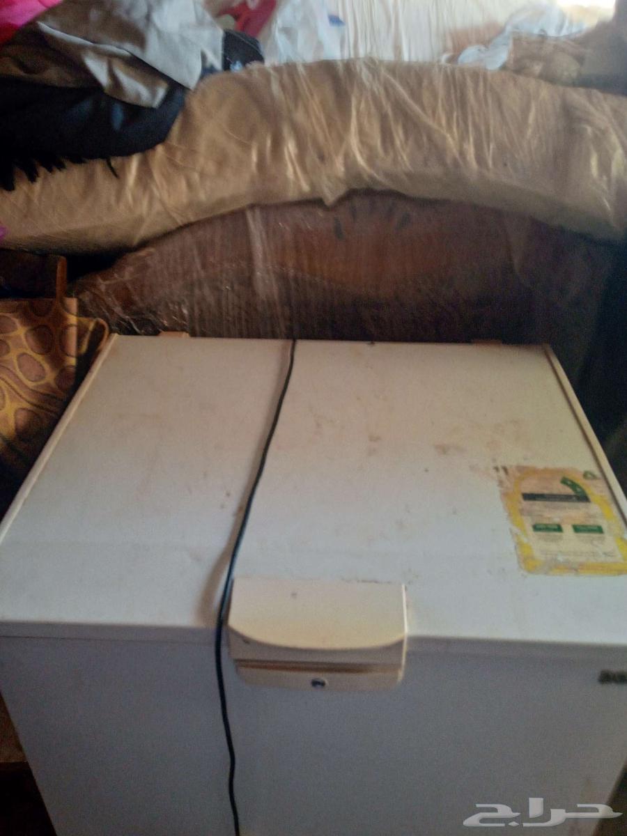 فريزل64399912394883110