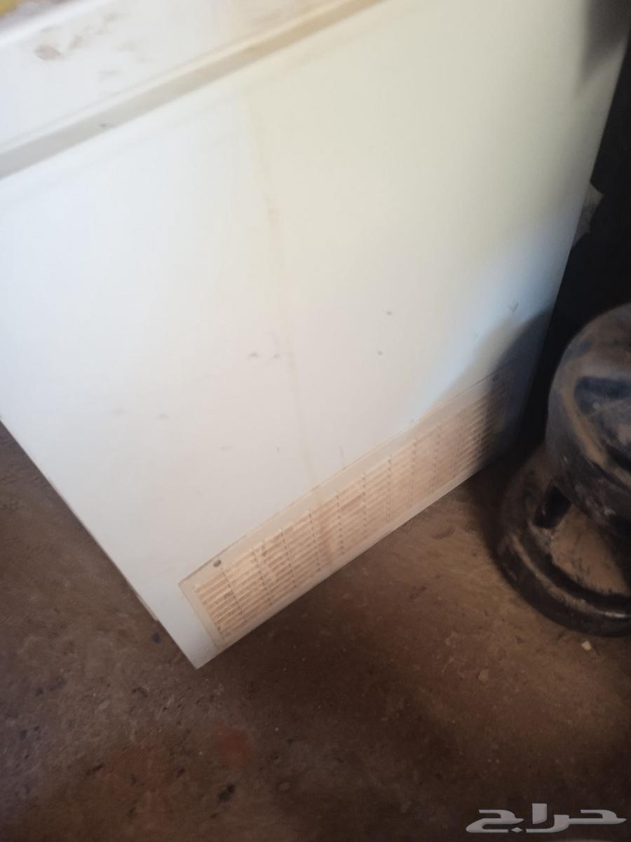 فريزل64399912394883112