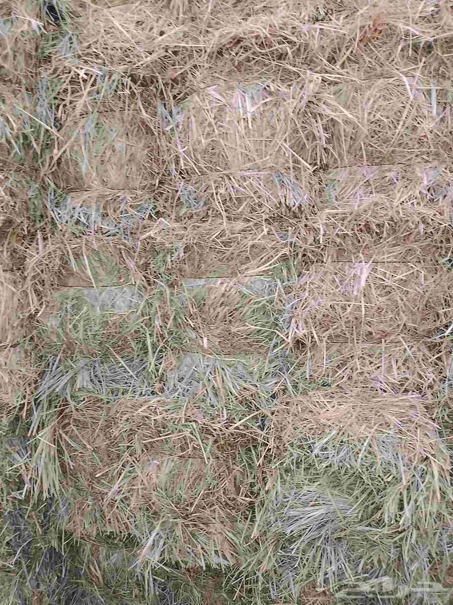 Hello and God's mercy, soft 95-meter Rhodes tension is good64396810835202111