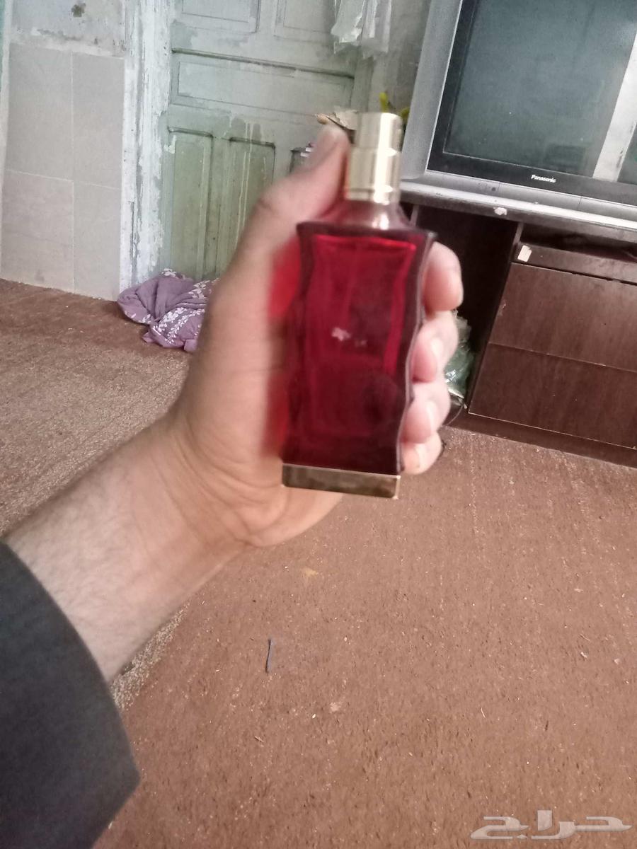 Ibrahim Al-Qurashi's Blass Rose Perfume, Half Size at an Amazing Price64400716783747110
