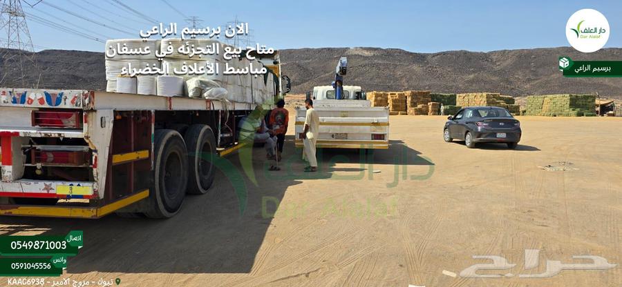 برسيم الراعي المصري64395812017537112