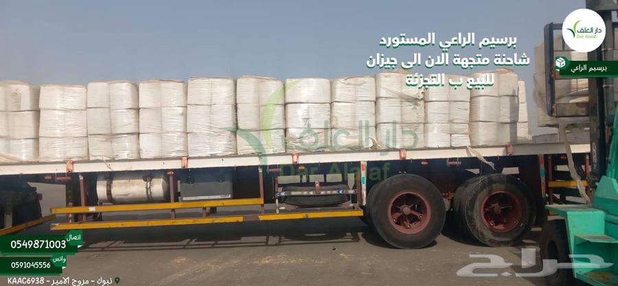 برسيم الراعي المصري64395812017537113