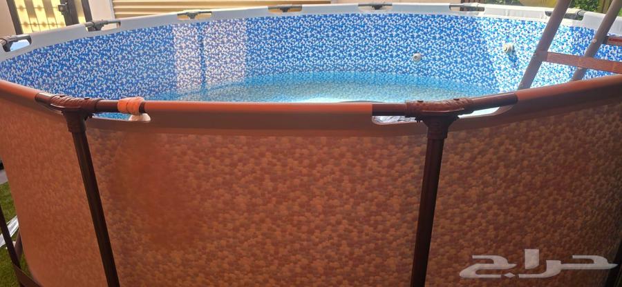 Large pool with filter and ladder, used only once64396006621954112