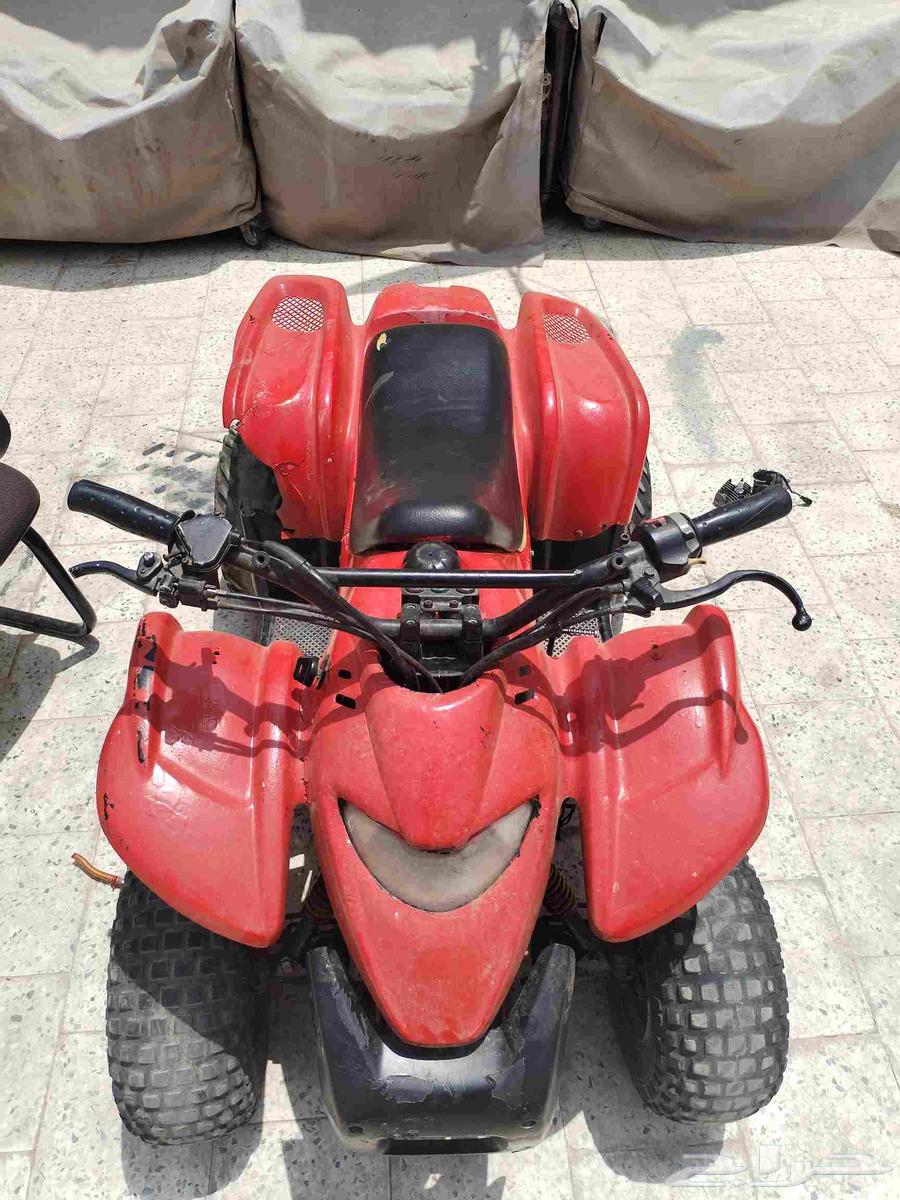 دباب سويدي مقاس 50 تايواني64544452845826111