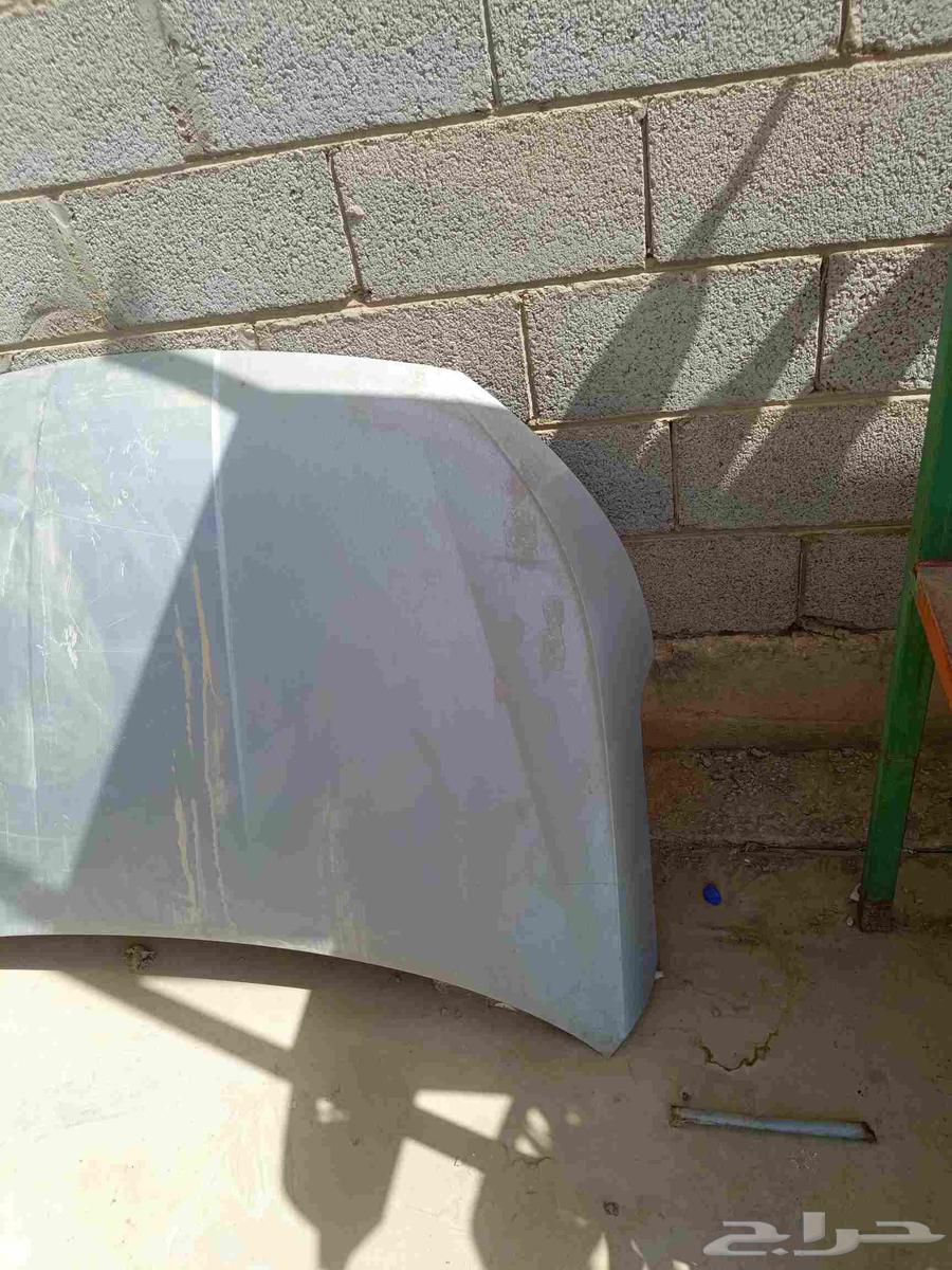 كبوت النترا 2019-202064396838789762112