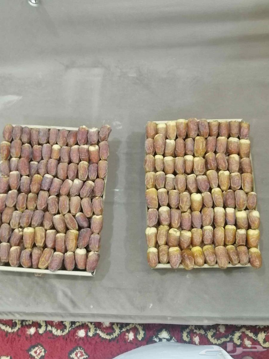 Premium quality Mabroom Suqai, top and bottom condition, full tank, price 15064395545553667111