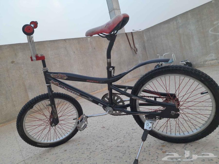 سيكل كوبرا جديد اصلي مقاس 2064400758090882111