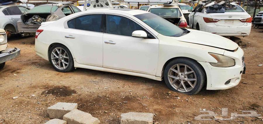 Nissan Maxima 2010 Scrap64546206506115110