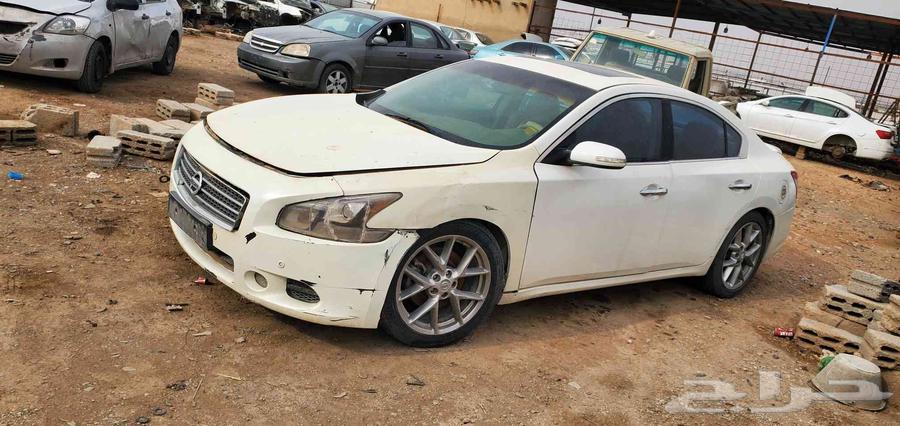 Nissan Maxima 2010 Scrap64546206506115112