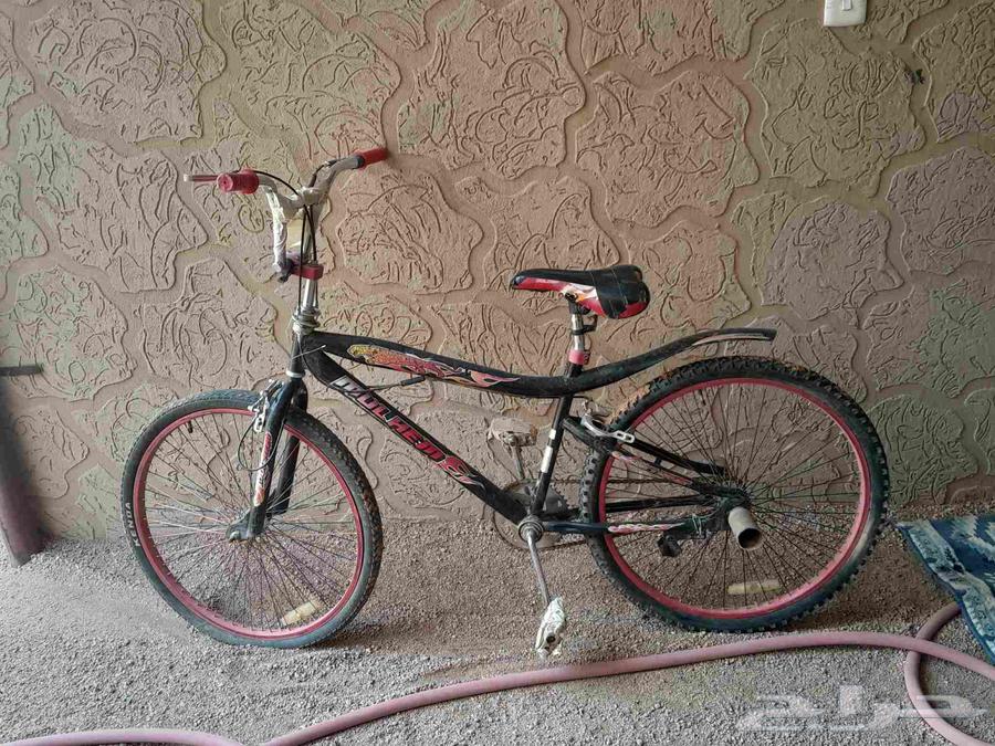 New Cycle 2664396602771587110