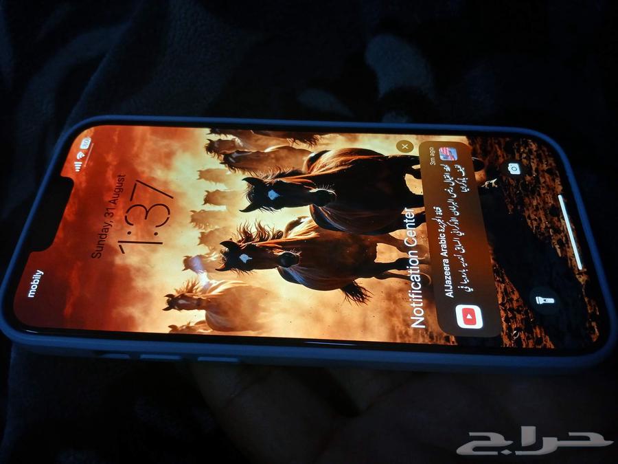 iPhone 13 Pro Max 256 GB Snapchat is blocked only 79 batter64398172686723110