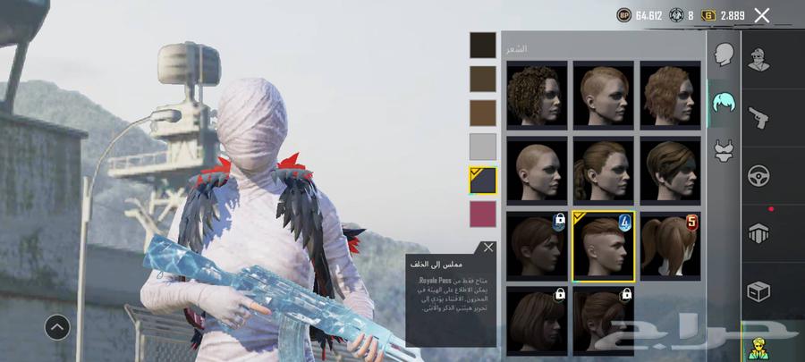 حساب ببجي فخم للبيع64395476231170110