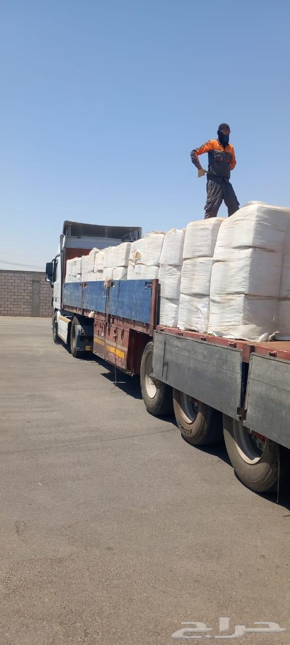 الراعي برسيم المصري مستورد64395923517313114