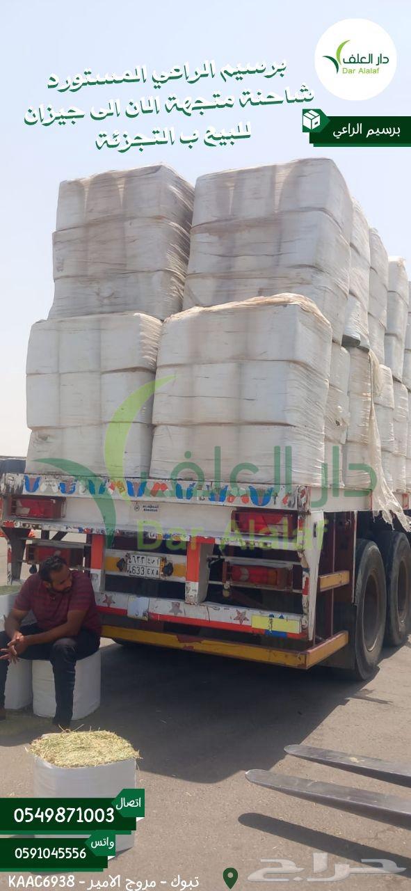 برسيم الراعي المصري مستورد64376629859585111