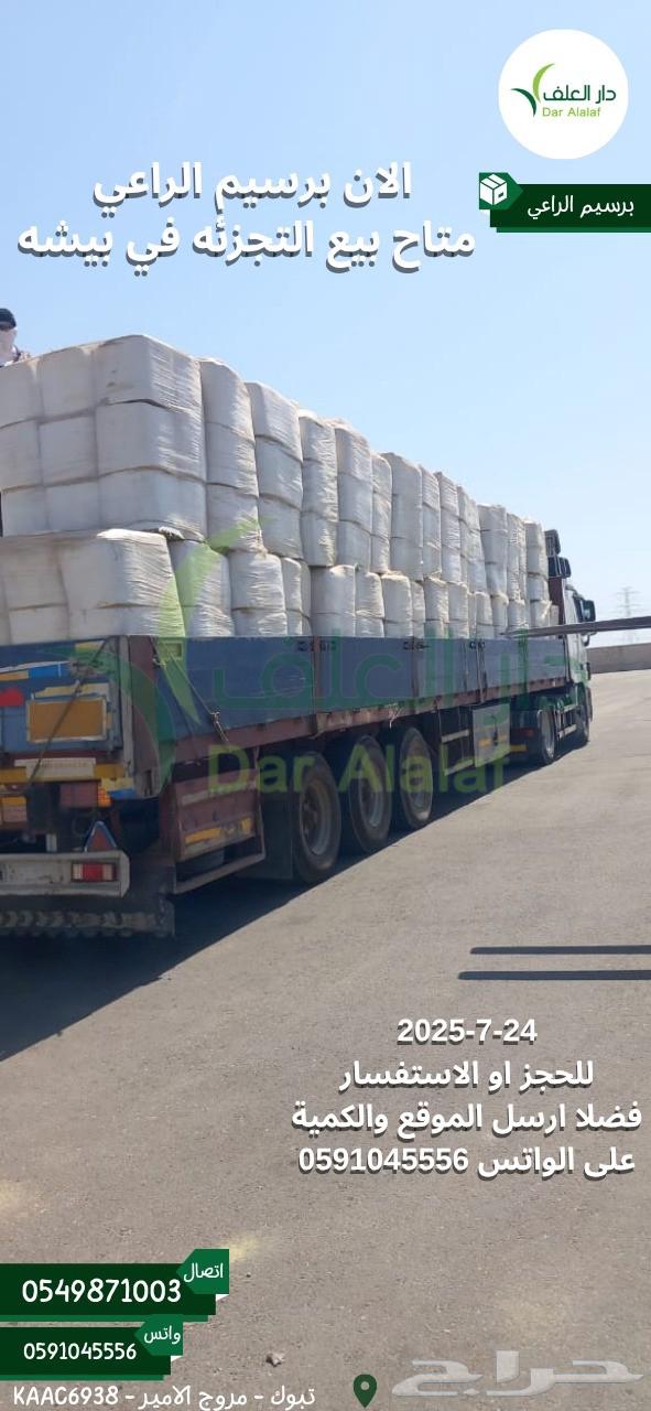 برسيم الراعي المصري64395812017537111