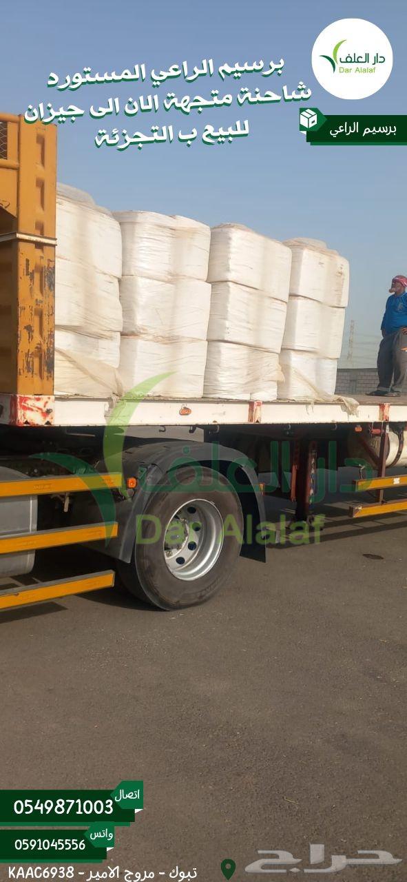 برسيم الراعي المصري مستورد64395853441411112