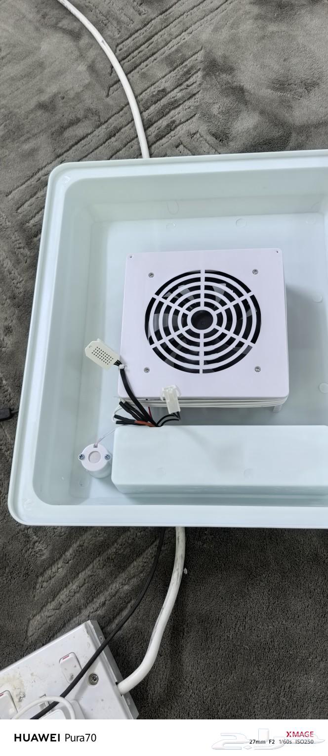 Incubator64398465257091113