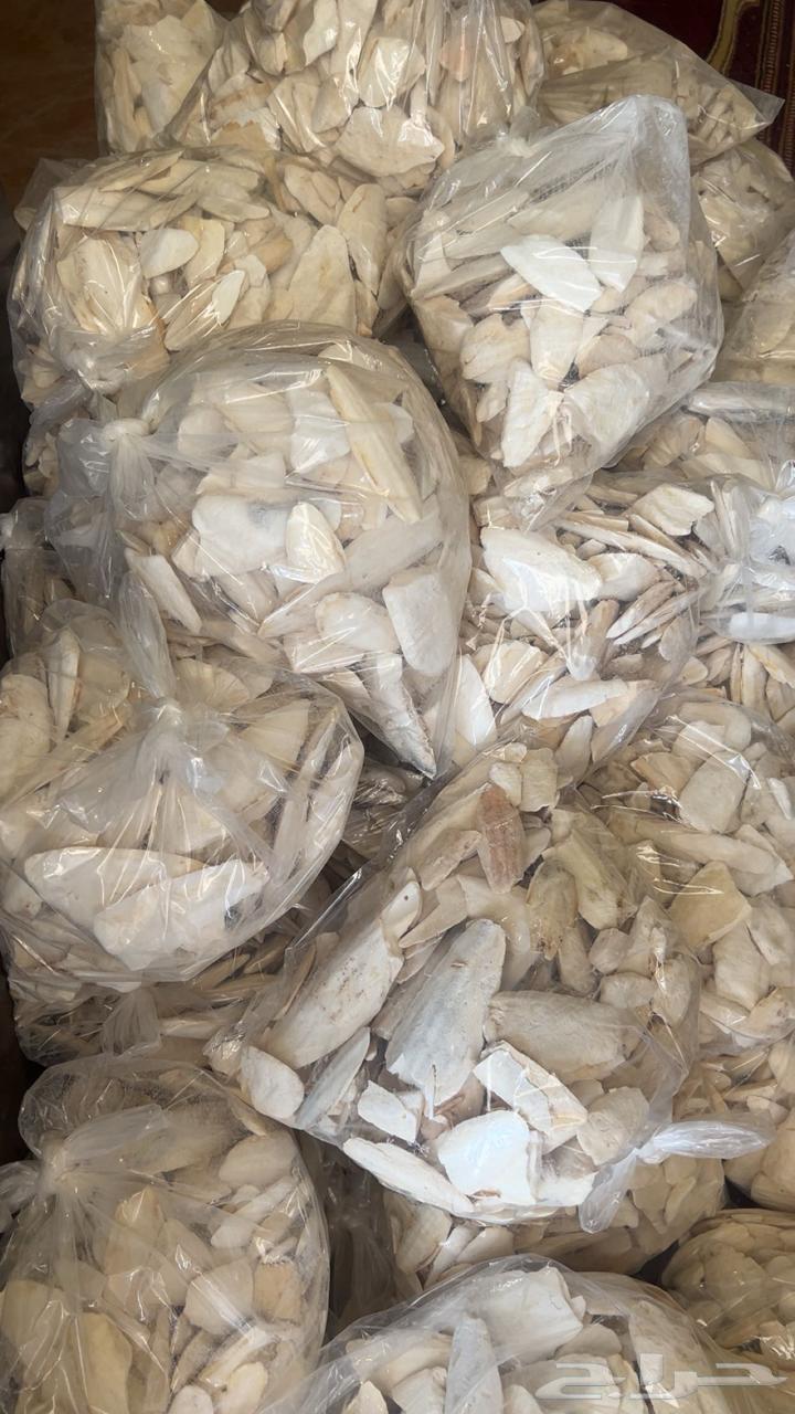 Cuttlebone for budgies, roses, and other birds64398117328129111