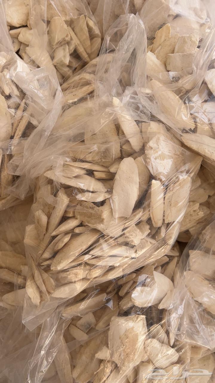 Cuttlebone for budgies, roses, and other birds64398117328129112